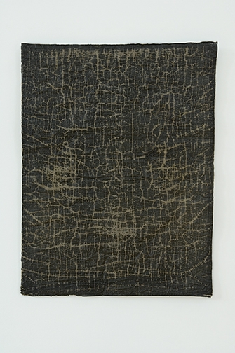 ags29