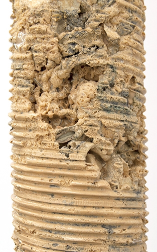fp19
